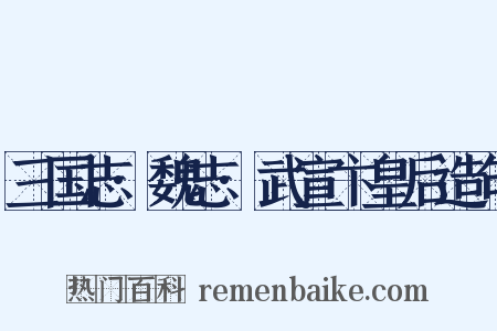 三国志·魏志·武宣卞皇后造句是什么意思的图片